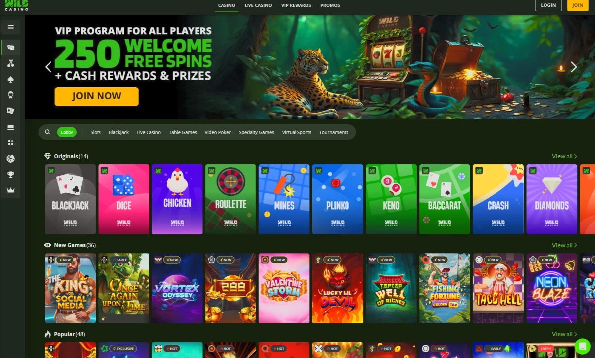 Wild Casino 2026 Interface