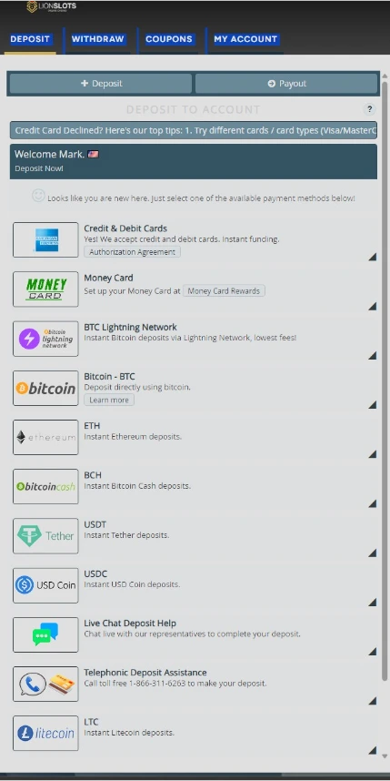 Lion Slots Deposit Methods and Cashier Interface