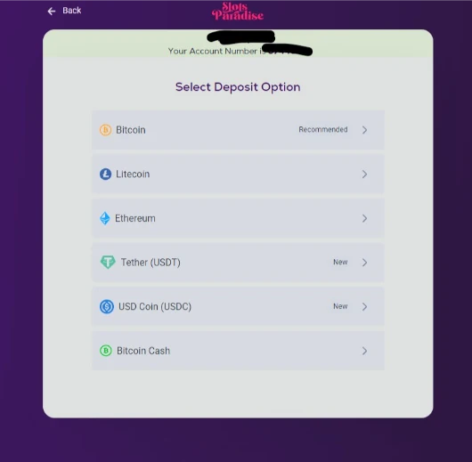 Slots Paradise Standard Deposit Cashier Interface