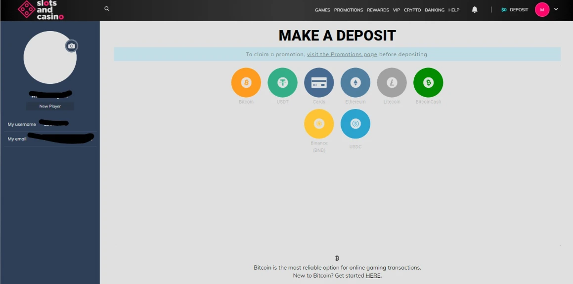 SlotsandCasino Deposit Cashier Interface