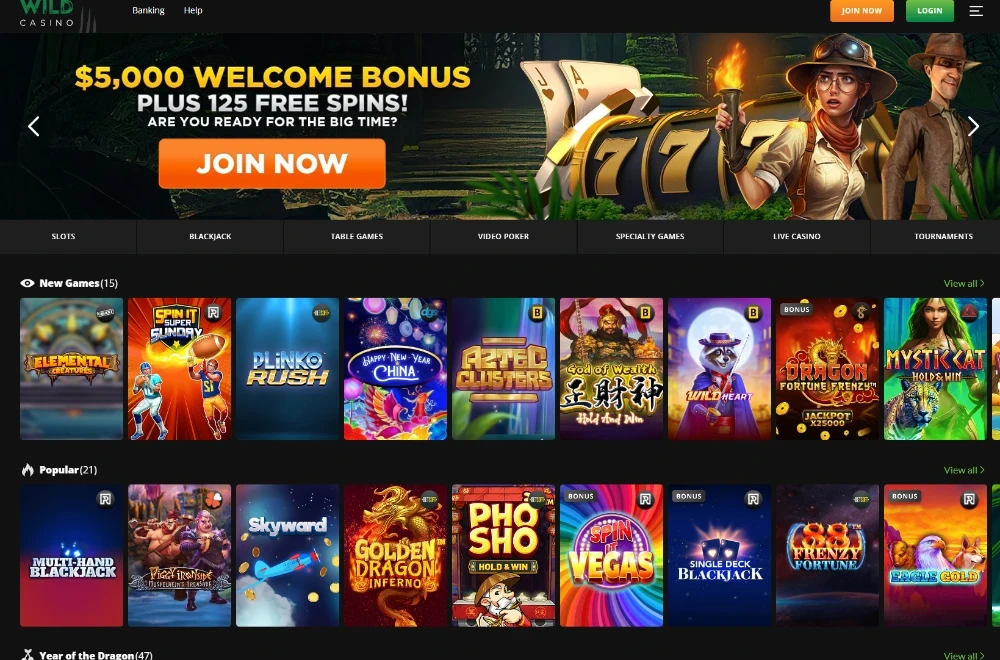 Wild Casino Ethereum